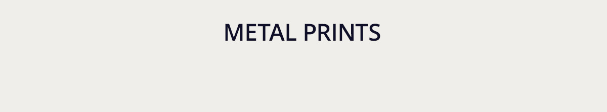 Metal Prints