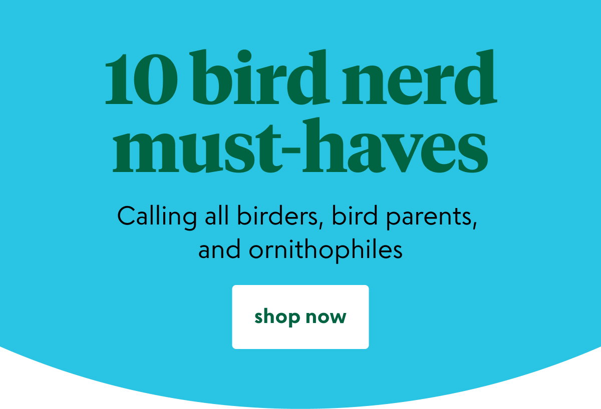 bird-watchers-hero