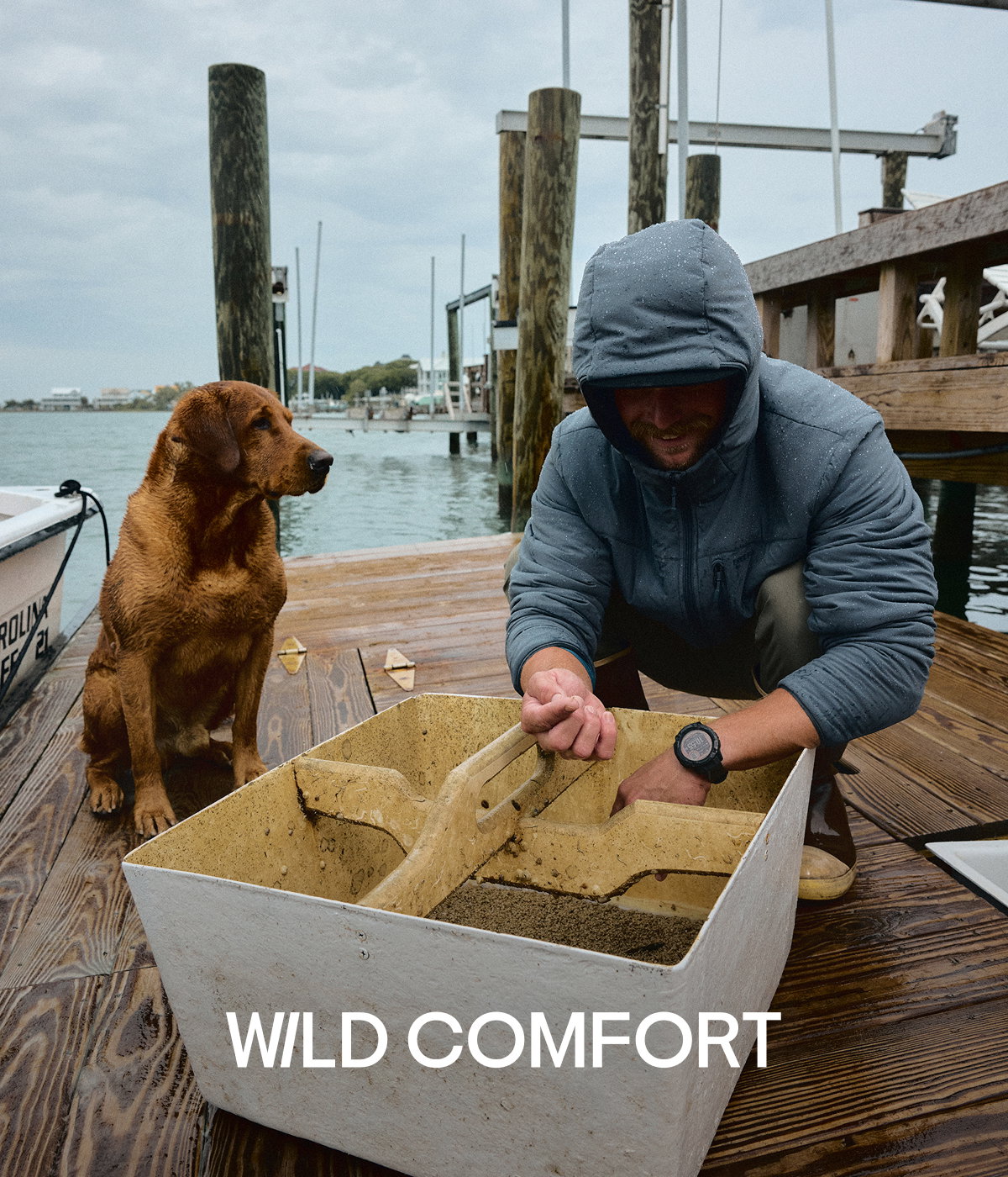 Wild Comfort