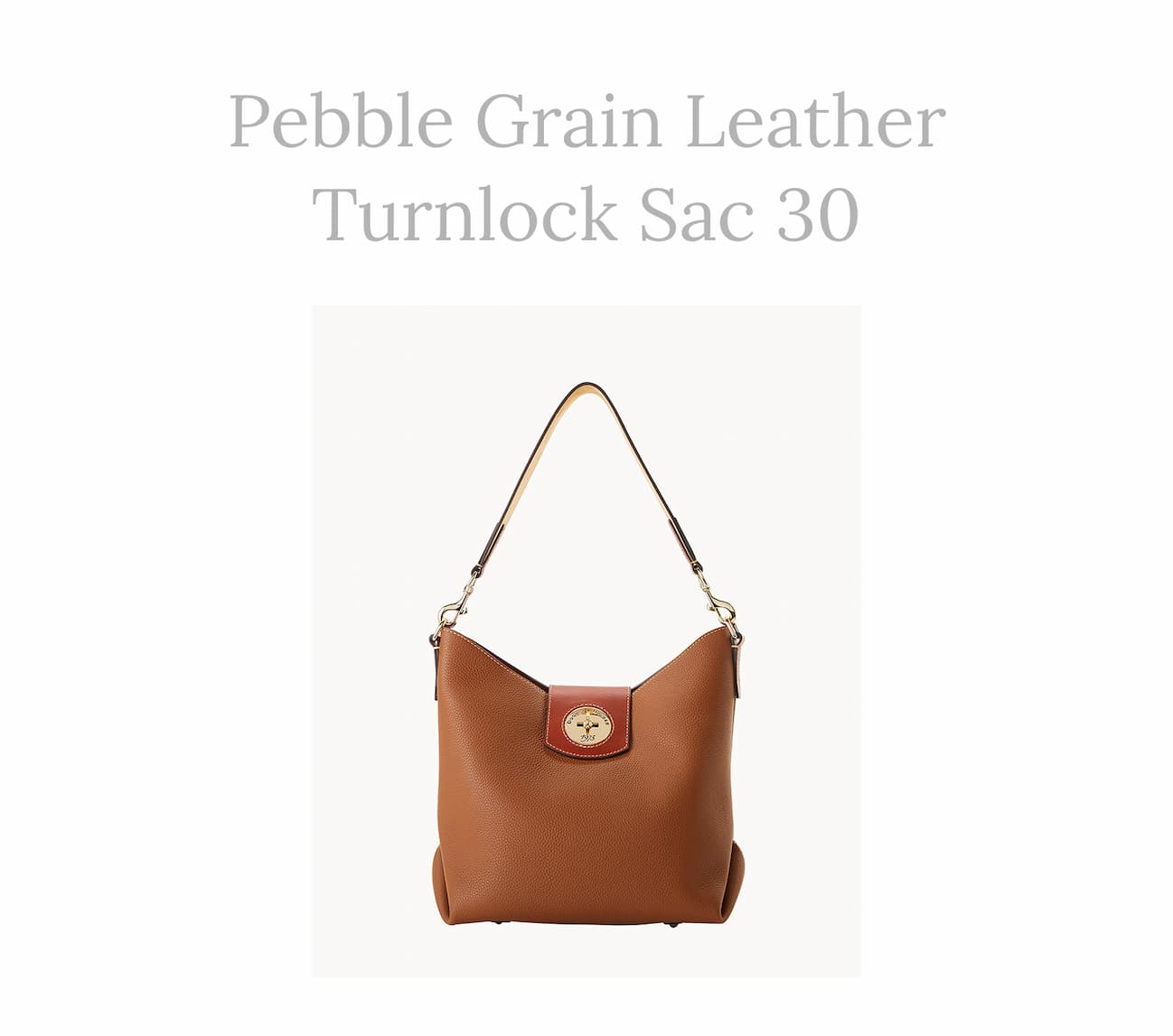 Pebble Turnlock Sac 30