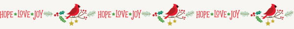 30% Off! Early Bird Holiday Special