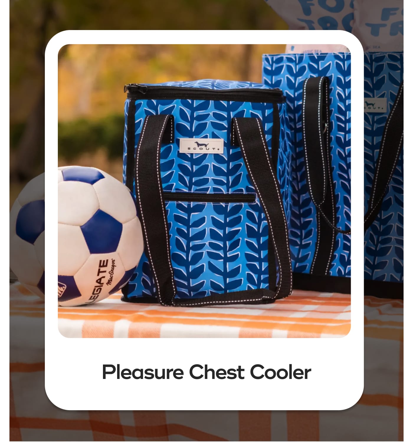 Pleasure Chest Cooler