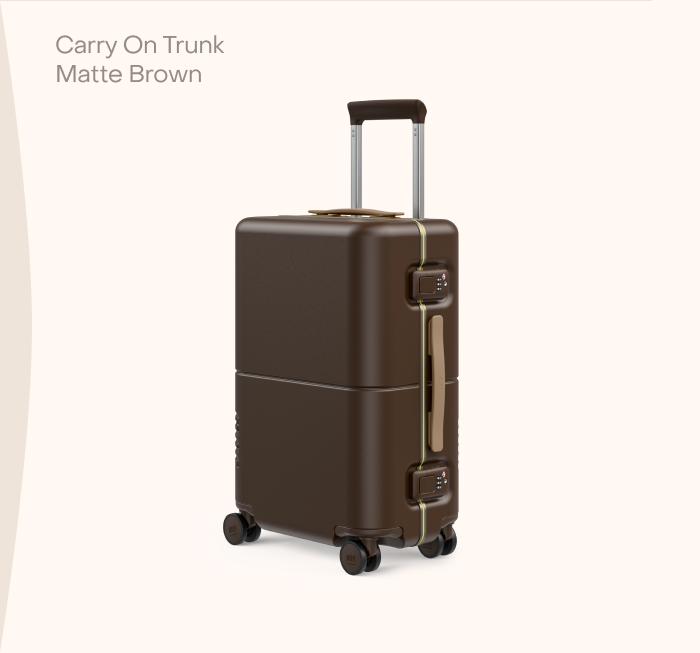 Carry On Trunk Matte Brown