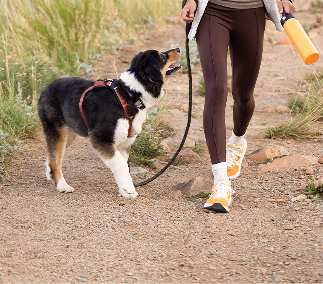 Shop fall must-haves. Everything you need to get active this season.