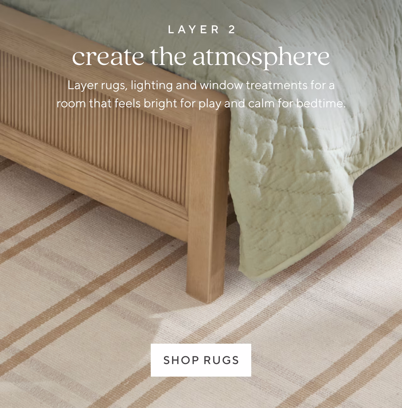 shop rugs
