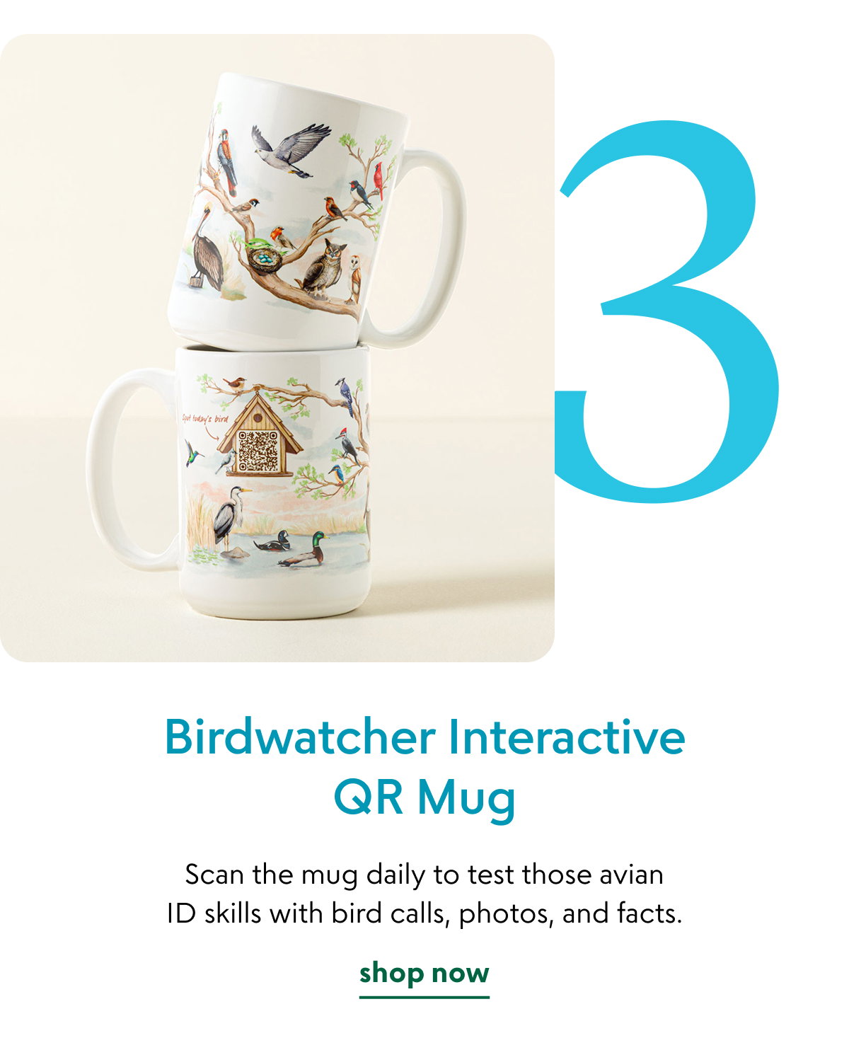 birdwatcher-interactive-qr-mug