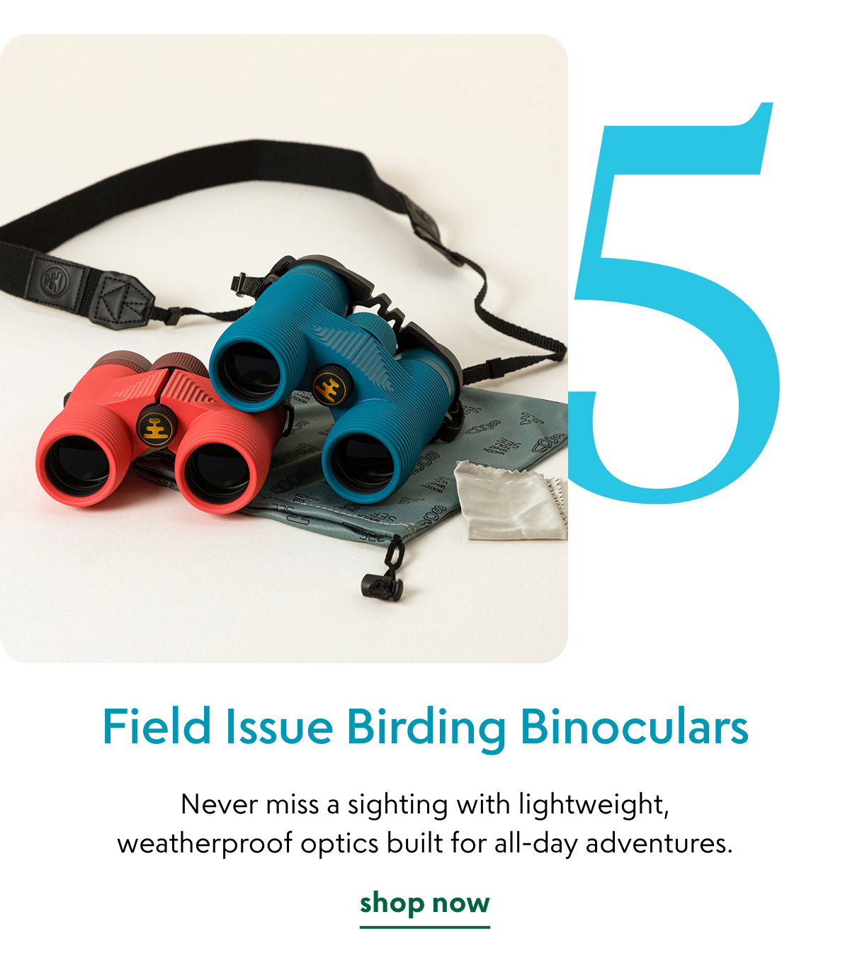 field-issue-birding-binoculars
