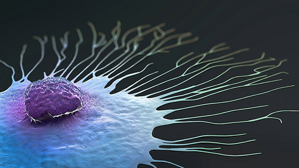 3D digital render of a migrating breast cancer cell on a flat black surface.