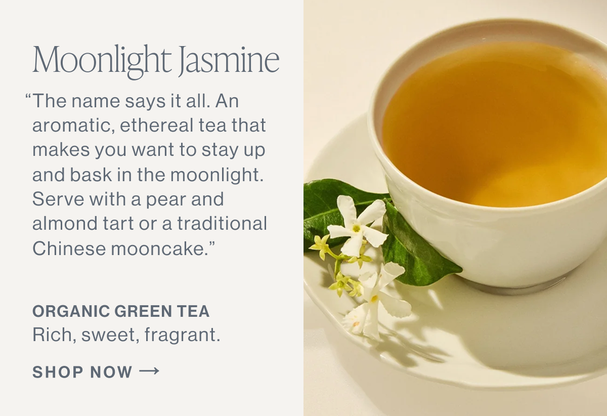 Moonlight Jasmine