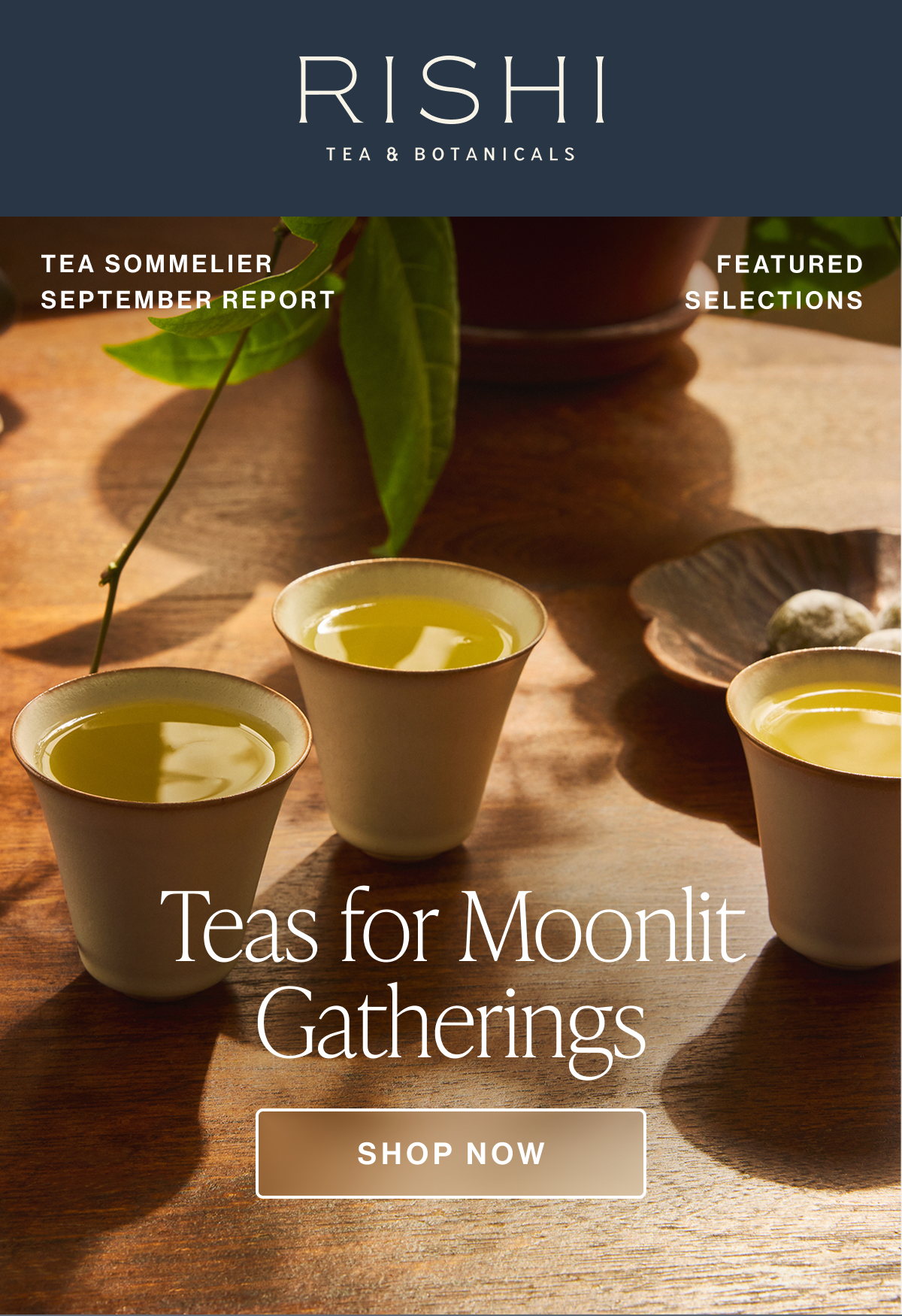 Fall Teas
