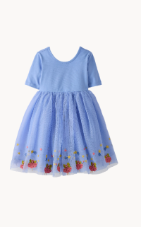 Garden Fairy Embroidered Tulle Dress