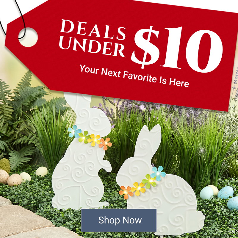 The Lakeside Collection Deals Under $10