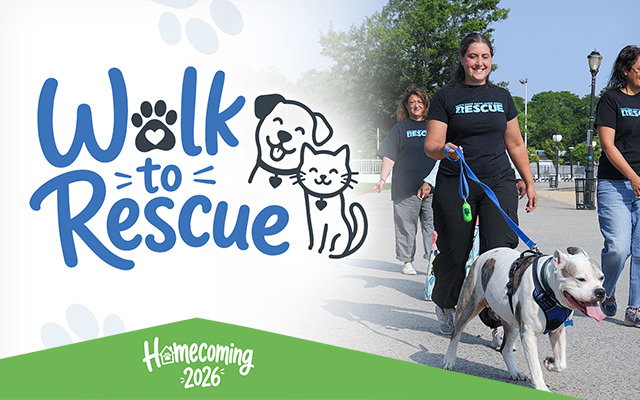 Walk to Rescue 2026