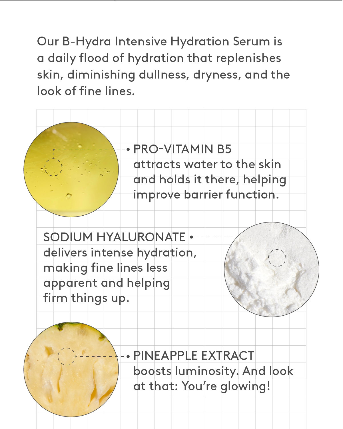 B-Hydra Ingredients