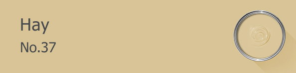 Rectangle banner of Hay