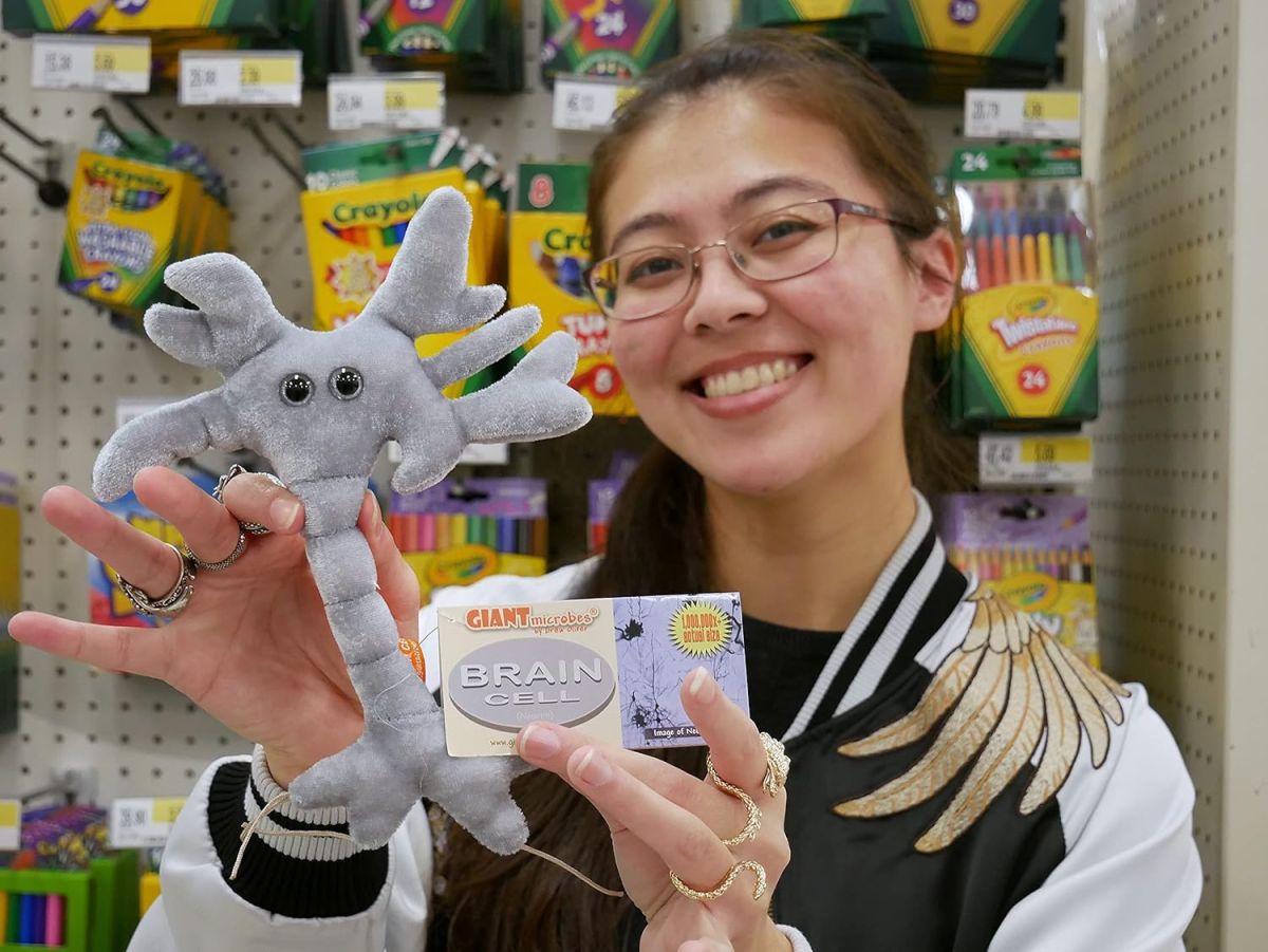 Brain Cell plush school supplies