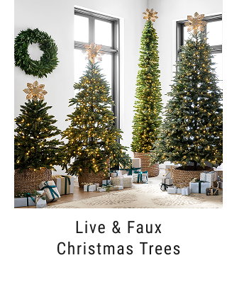 Live & Faux Christmas Trees