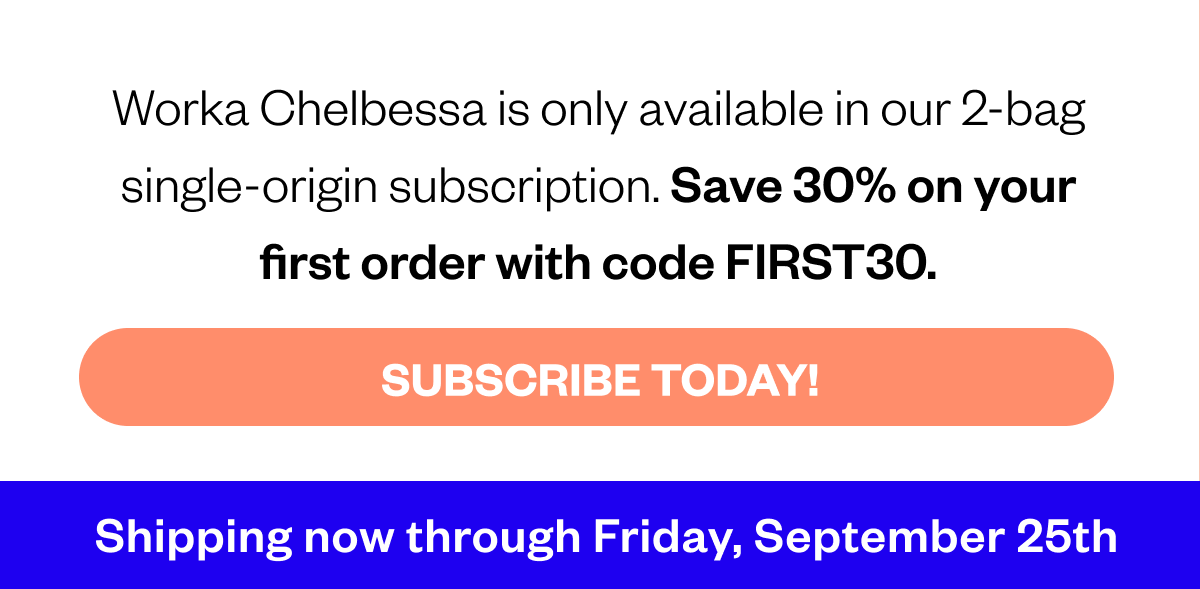 Worka Chelbessa is only available in our 2-bag single -origin subscription. Save 30% on your first order with code FIRST30 CTA Subscribe today Shipping now through Friday, September 25