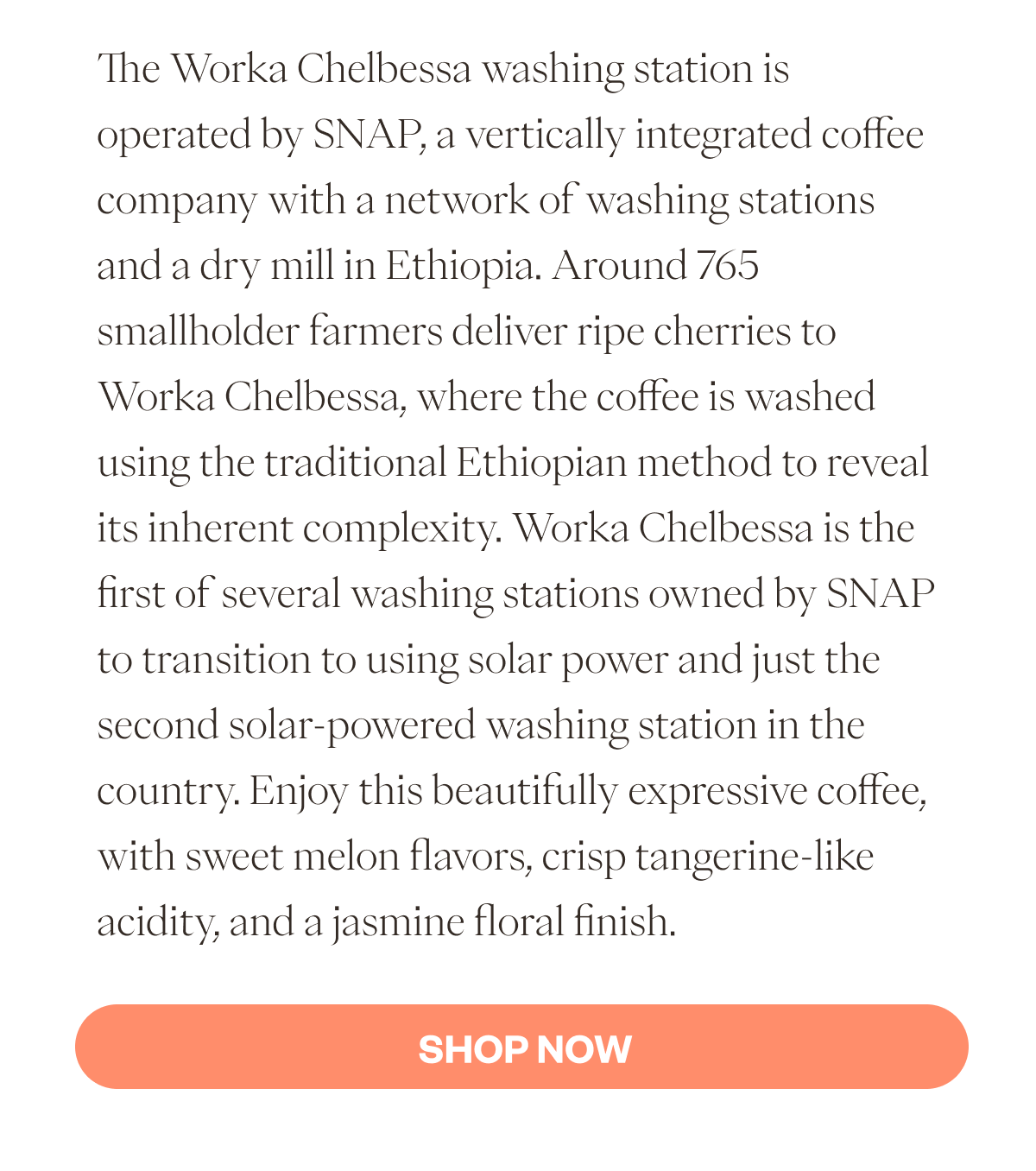 The Worka Chelbessa washing station is operated by SNAP, a vertically integrated coffee company with a network of washing stations and a dry mill in Ethiopia. Around 765 smallholder farmers deliver ripe cherries to Worka Chelbessa, where the coffee is washed using the traditional Ethiopian method to reveal its inherent complexity. Worka Chelbessa is the first of several washing stations owned by SNAP to transition to using solar power and just the second solar-powered washing station in the country. Enjoy this beautifully expressive coffee, with sweet melon flavors, crisp tangerine-like acidity, and a jasmine floral finish. CTA: SHOP NOW