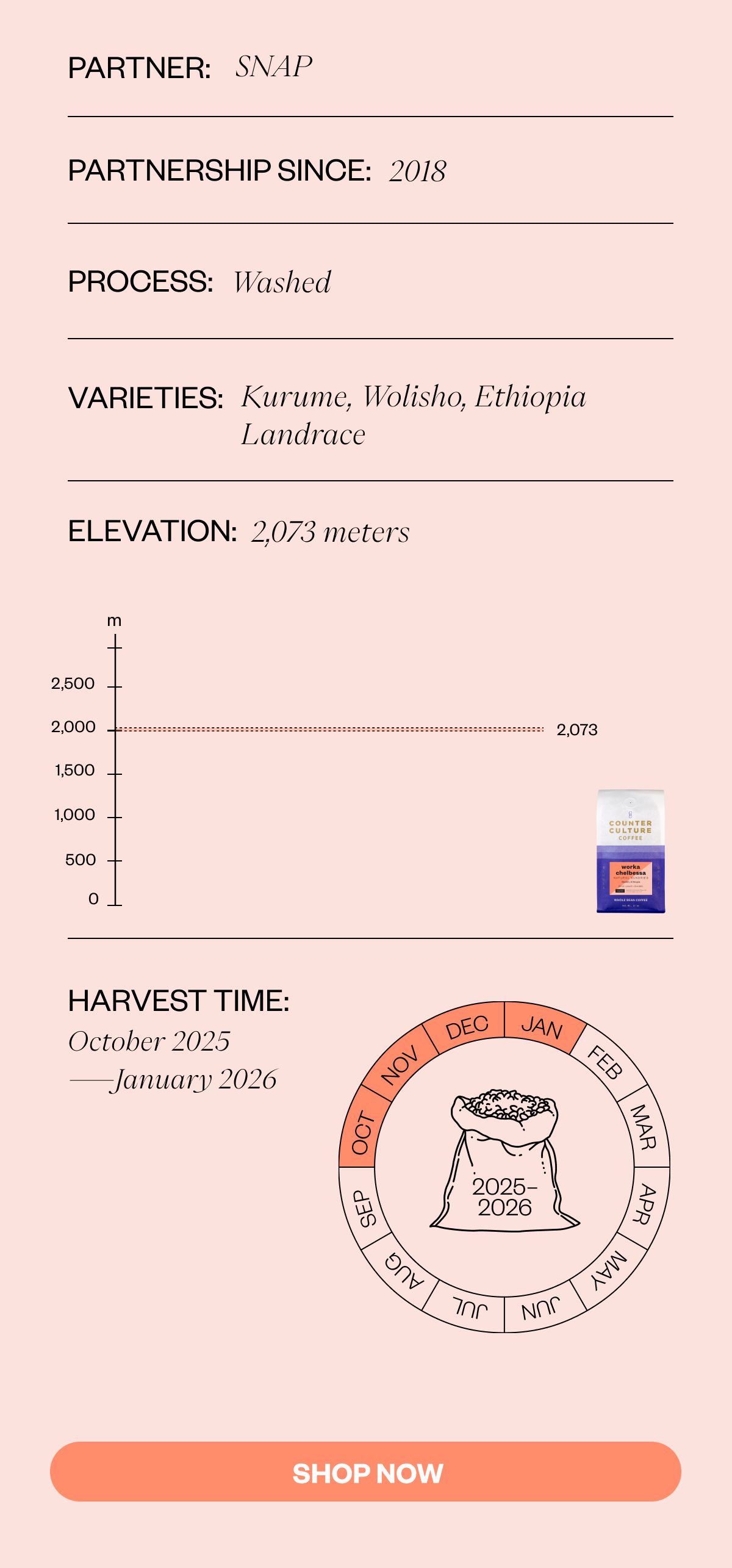 Partner: SNAP Partnership since: 2018 Process: Wasned Elevation: 2,073 meters Varieties: Kurume and Wolisho, Ethiopia Landrace Harvest Time: October 2025–January 2026 CTA SHOP NOW 