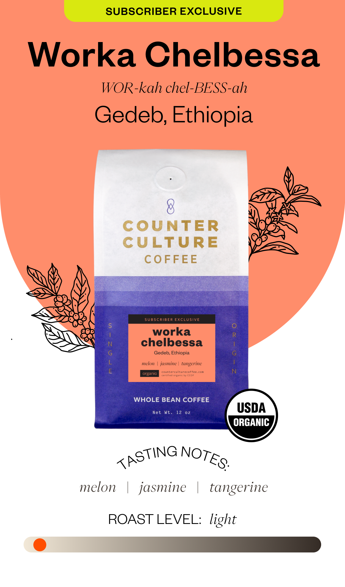 Subscriber Exclusive Worka Chelbessa WOR-kah chel-BESS-ah Gedeb, Ethiopia Tasting notes: melon jasmine tangerine Roast Level: Light 