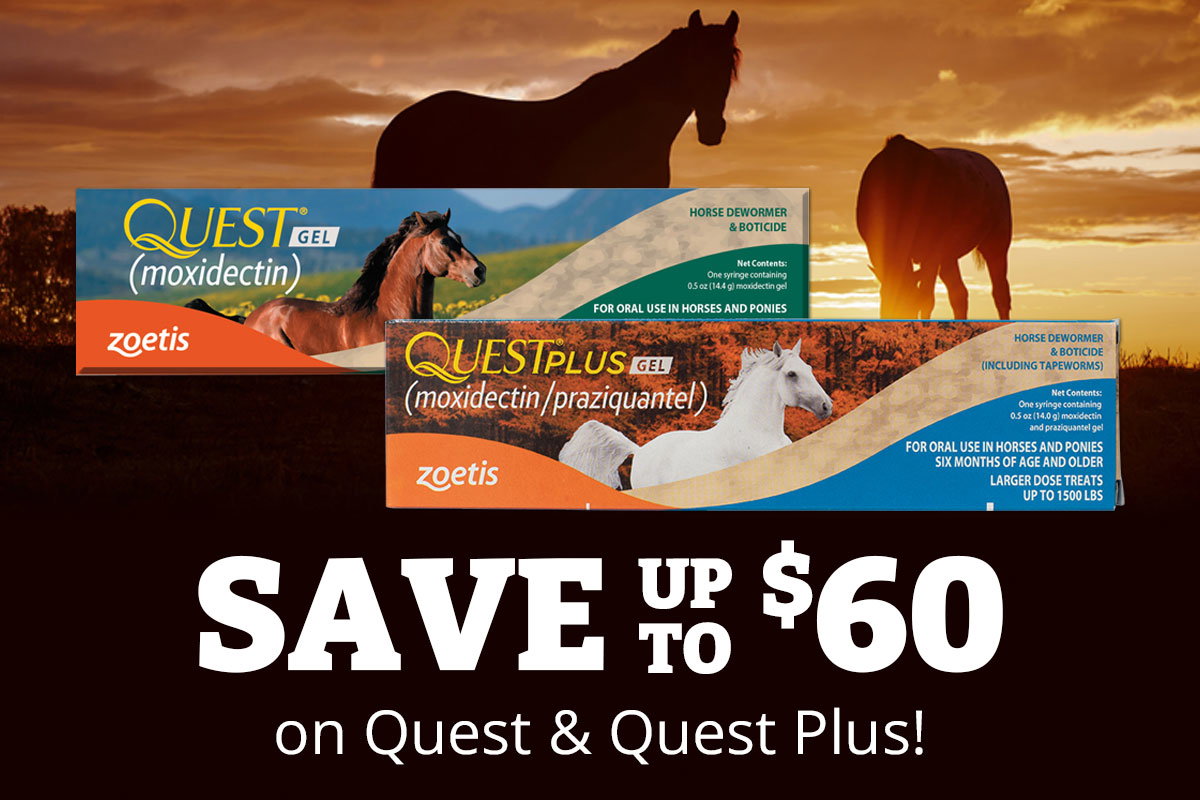 Save up to $60 on Quest & Quest Plus - Use Code: QUEST