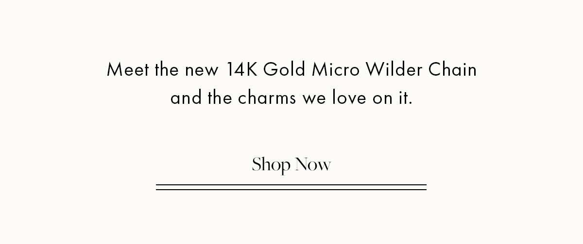 New 14K Gold Micro Wilder Chain. Shop Now.