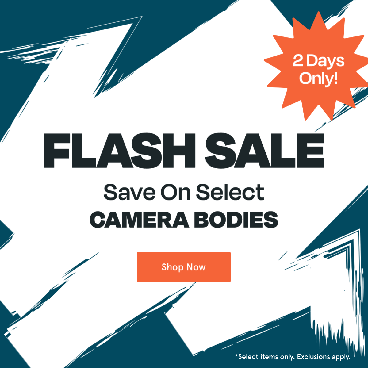 Shop the sale