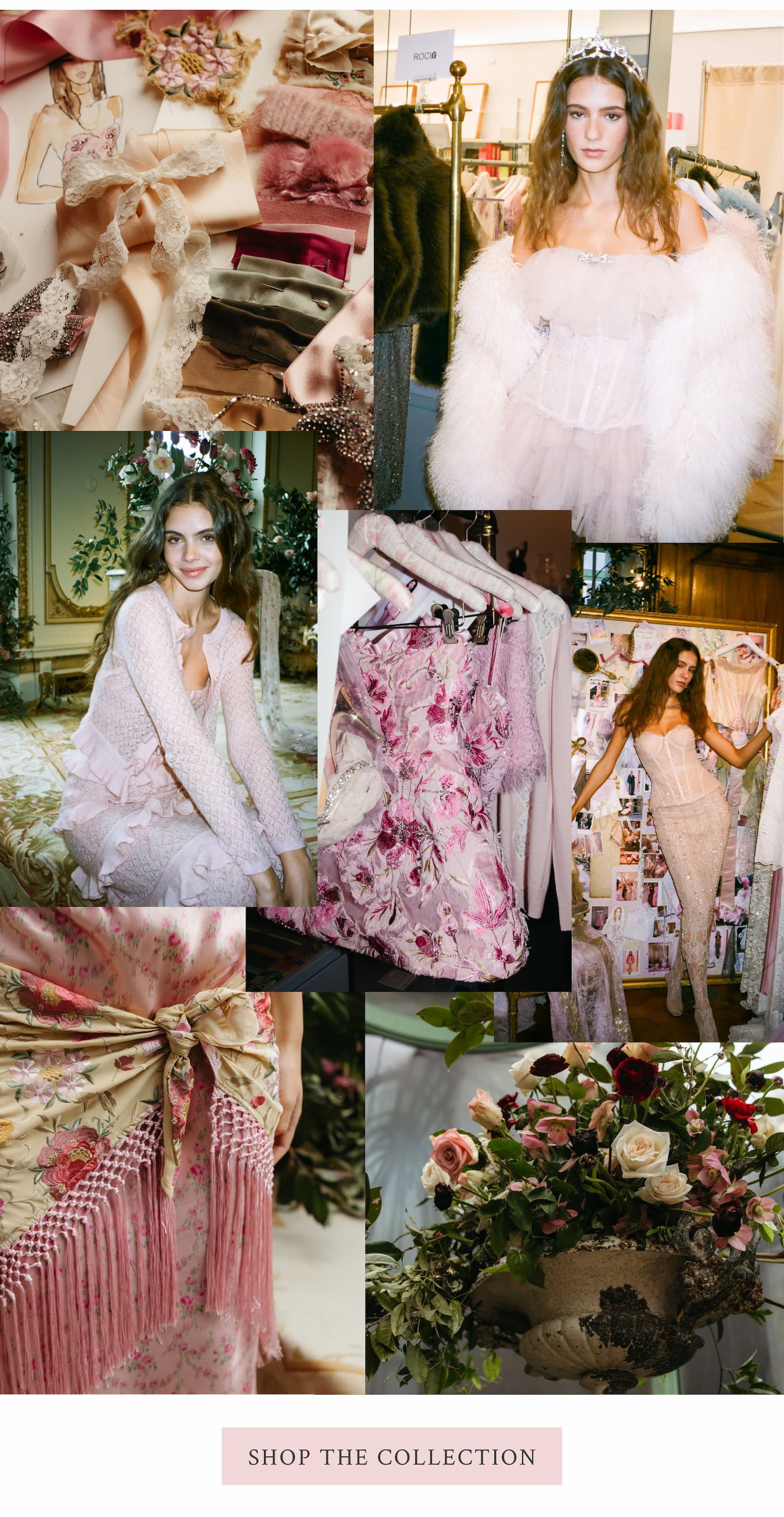 <SHOP THE COLLECTION>