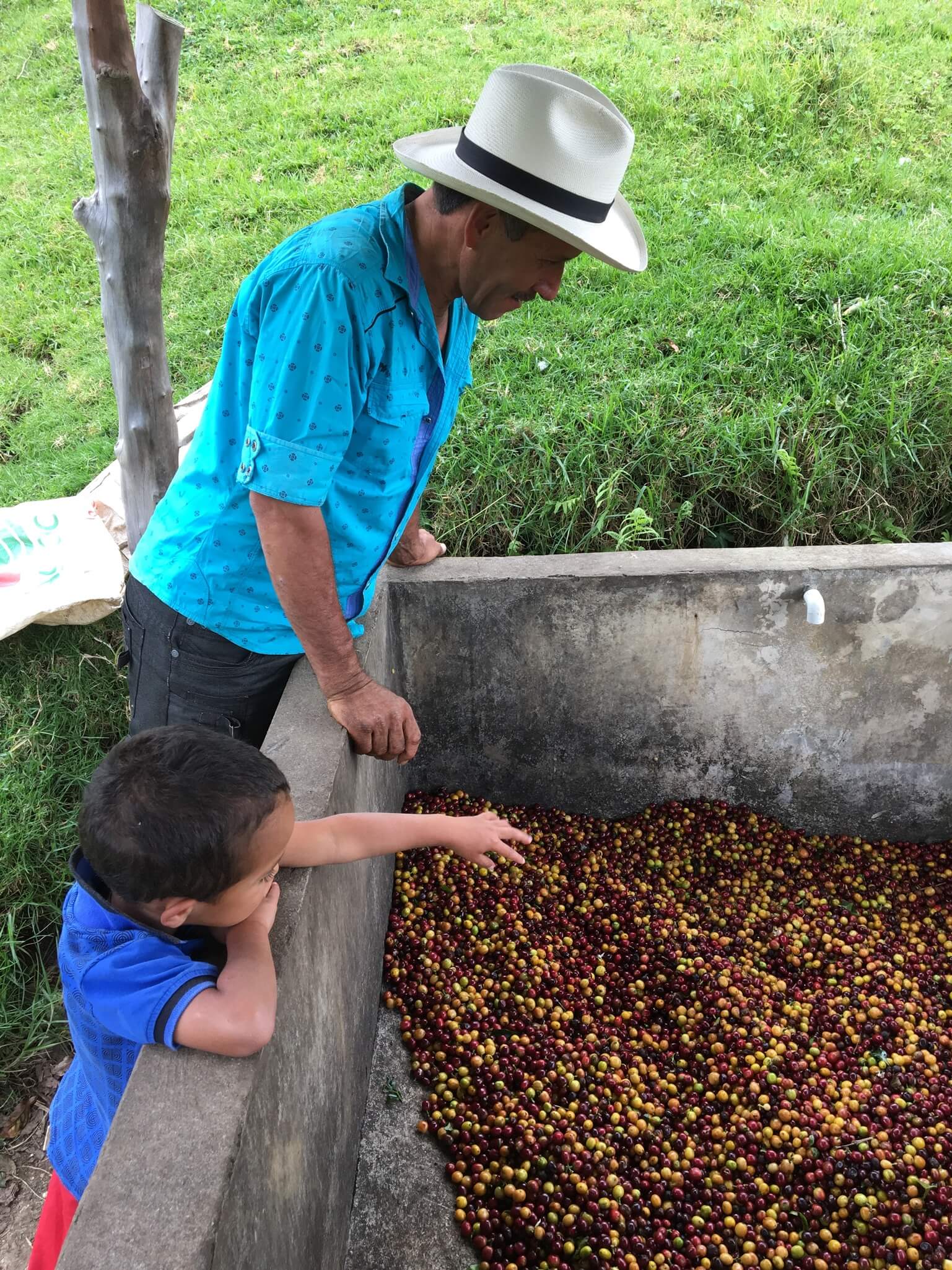 Colombia El Faldón origin image