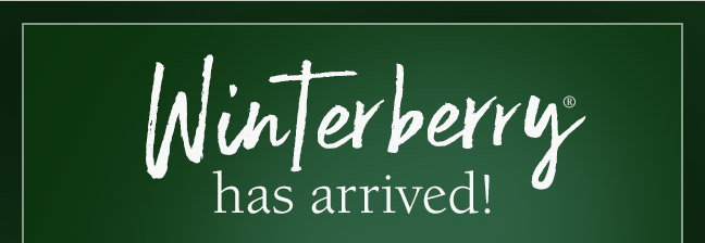 Winterberry® has arrived!