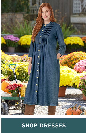 Shop Dresses. Pintuck Cotton Denim Dress