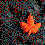 Image of Demarle Flexipan Inspiration Maple Leaf