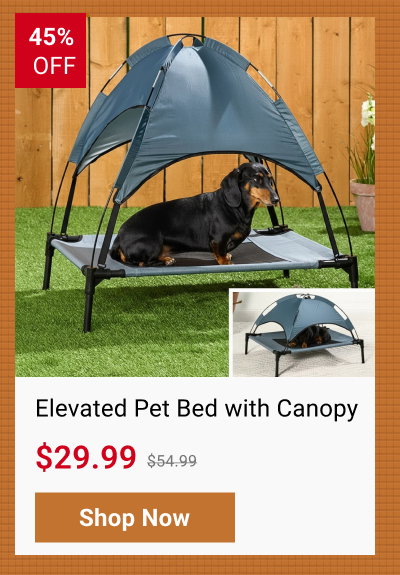 Elevated Pet Bed with Canopy