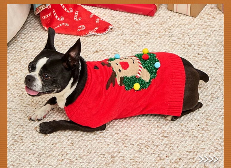 Ugly Christmas Dog Sweater