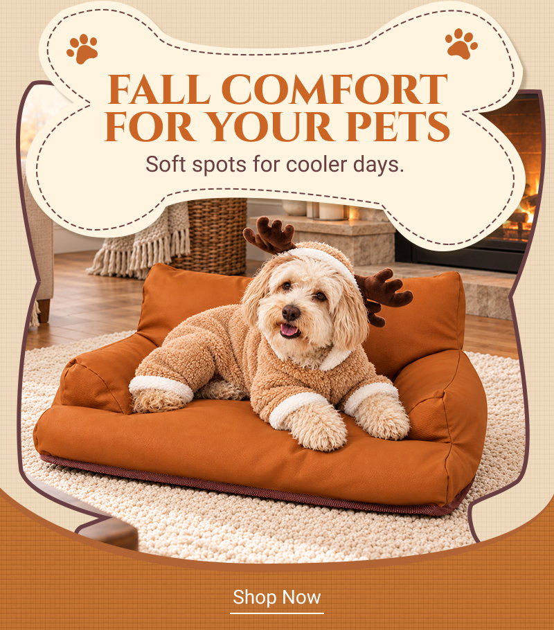 Pets supplies: Shop Now