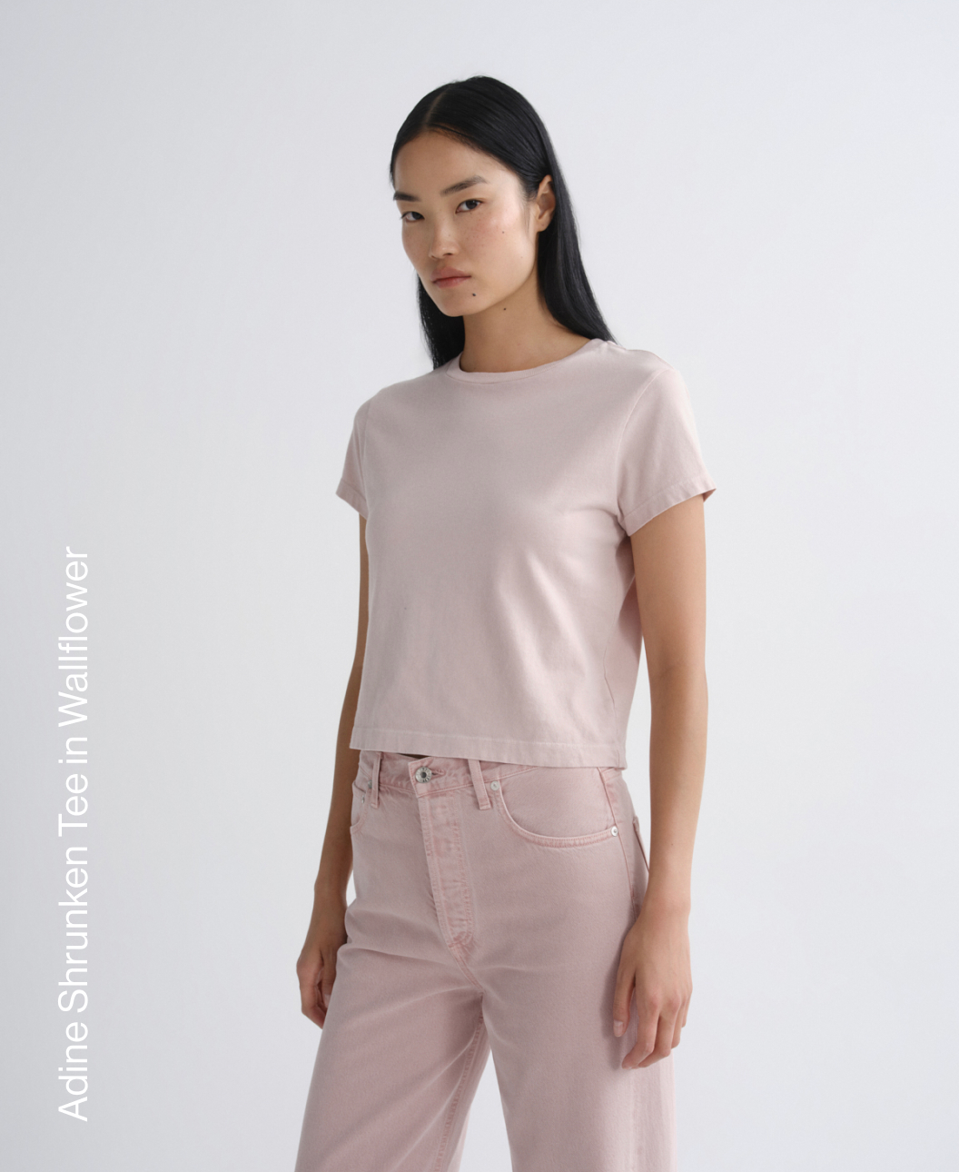 Adine Shrunken Tee in Wallflower