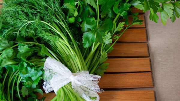 Les méthodes vraiment efficaces pour conserver ses herbes fraîches plus longtemps