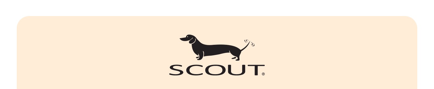 SCOUT. 