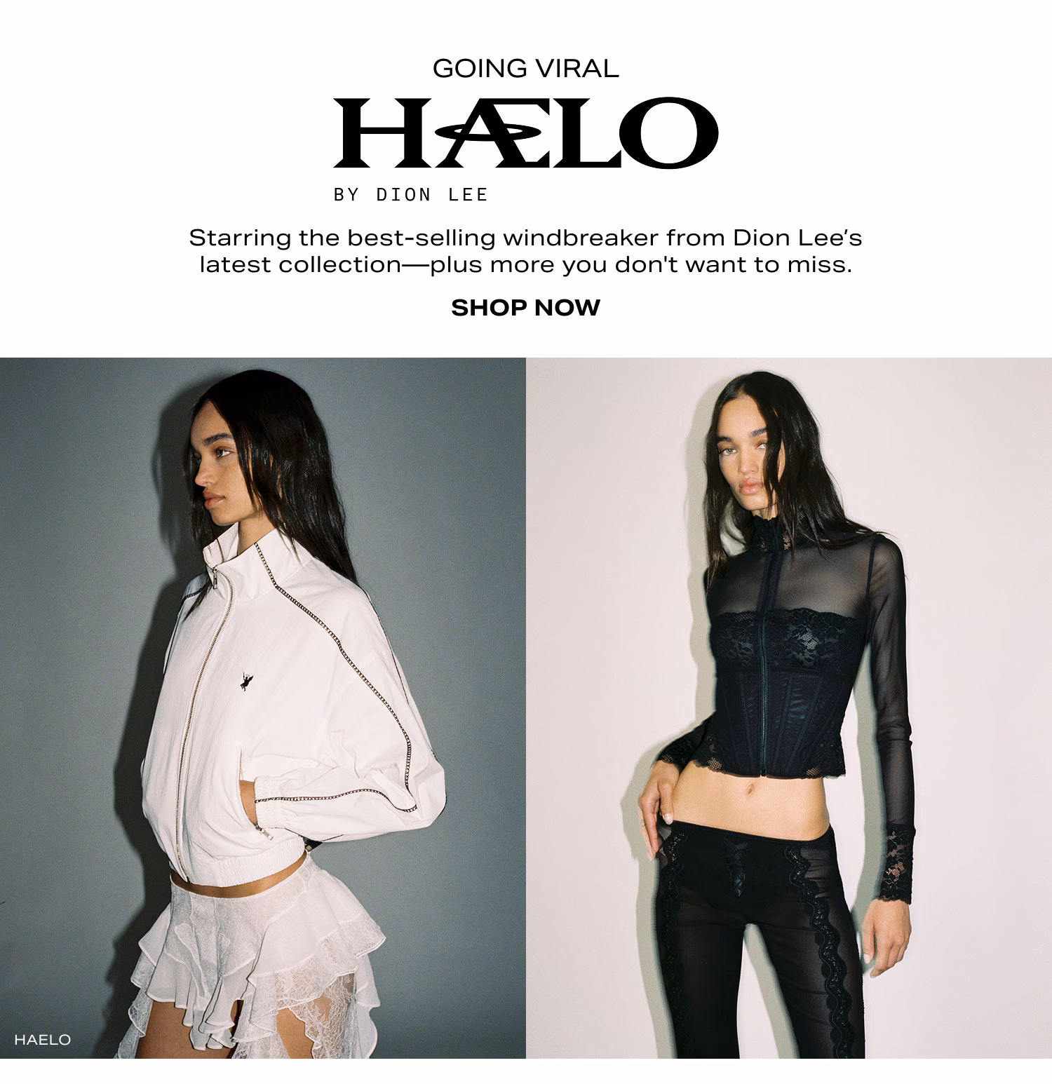 Shop Haelo