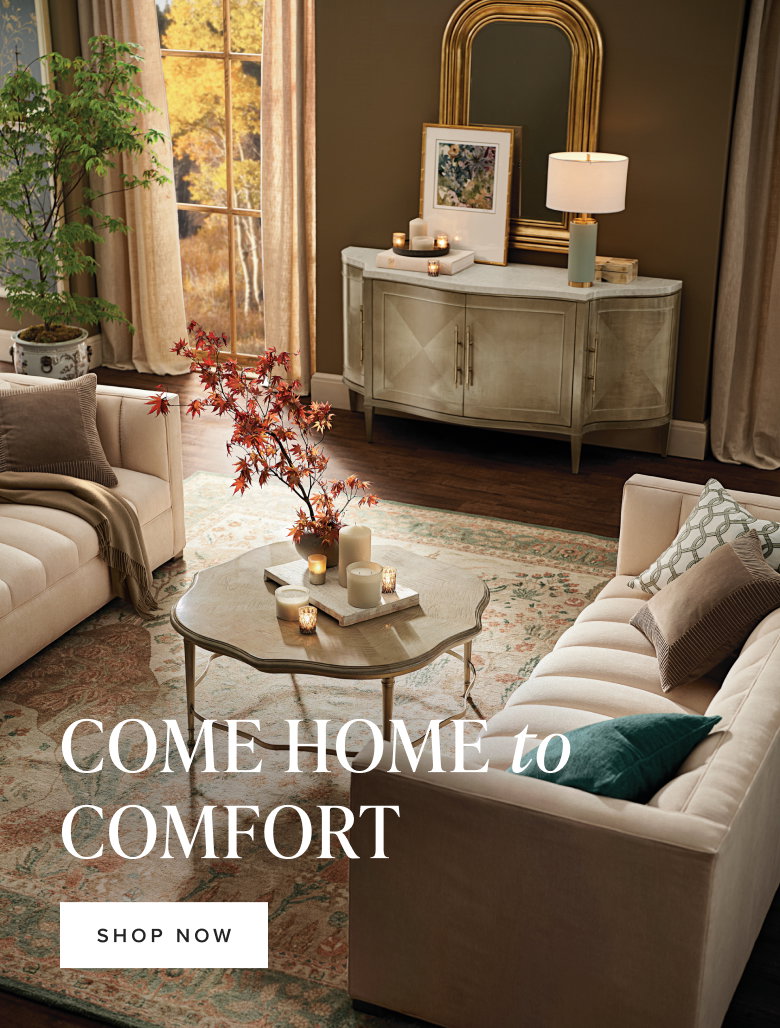 Come home to comfort - Shop Living Room