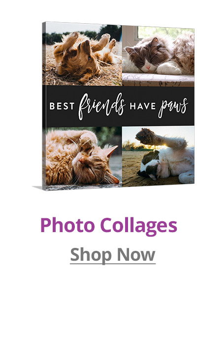 Shop Photo Collages