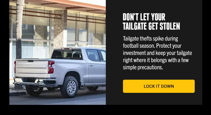 Preventing tailgate theft