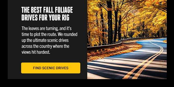 The best fall foliage drives