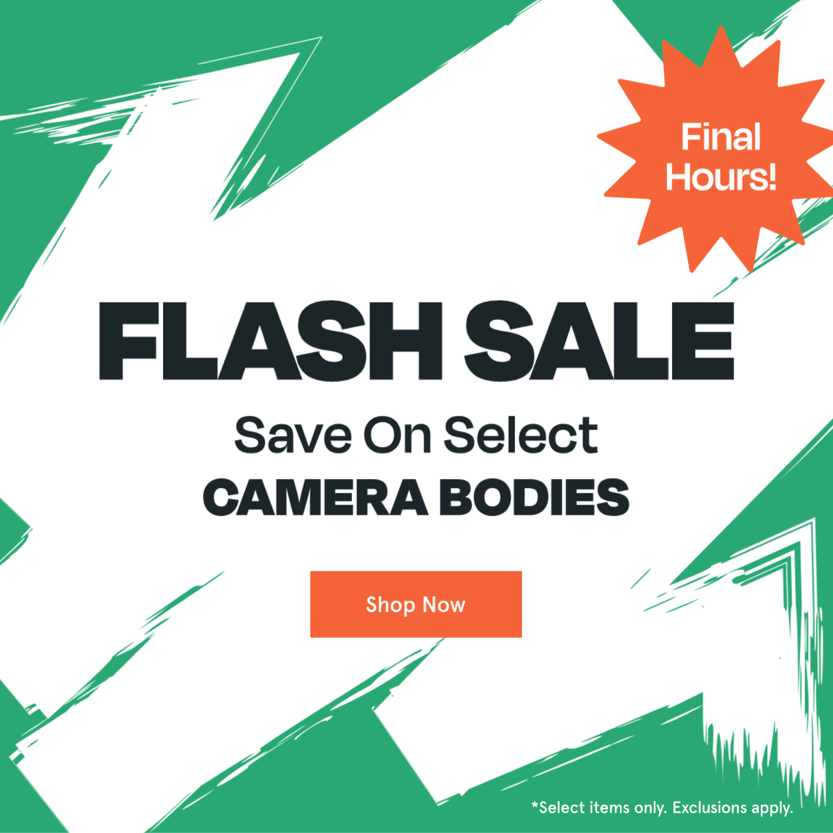 Shop the sale