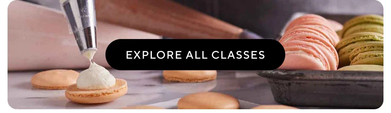 Explore All Classes