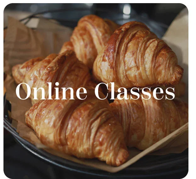 Online Classes
