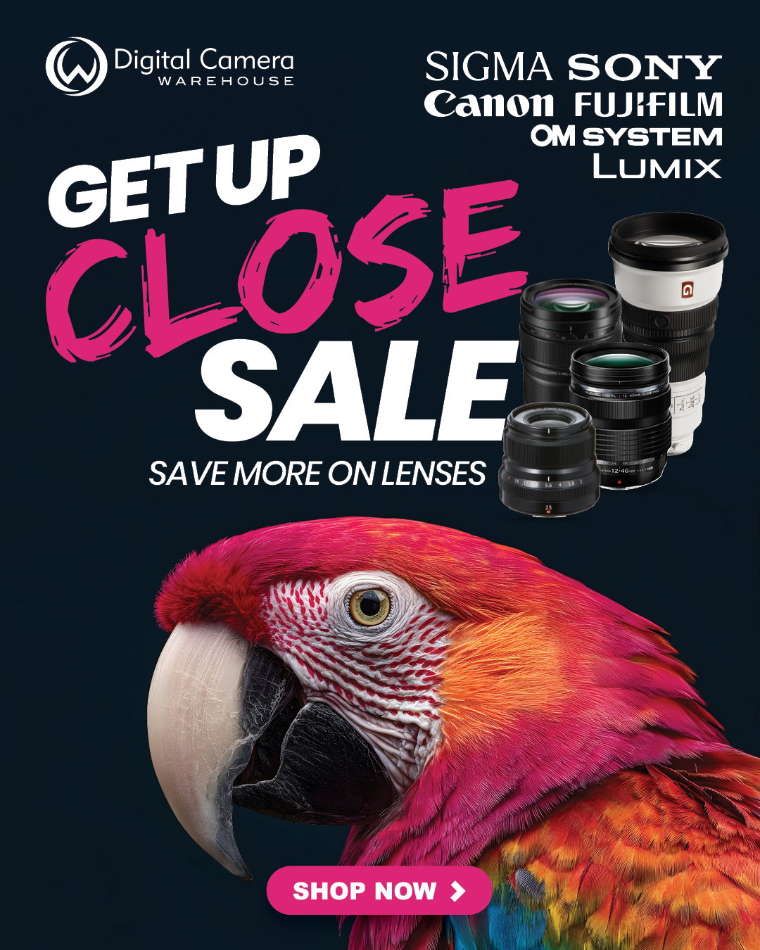 Nisi Sale