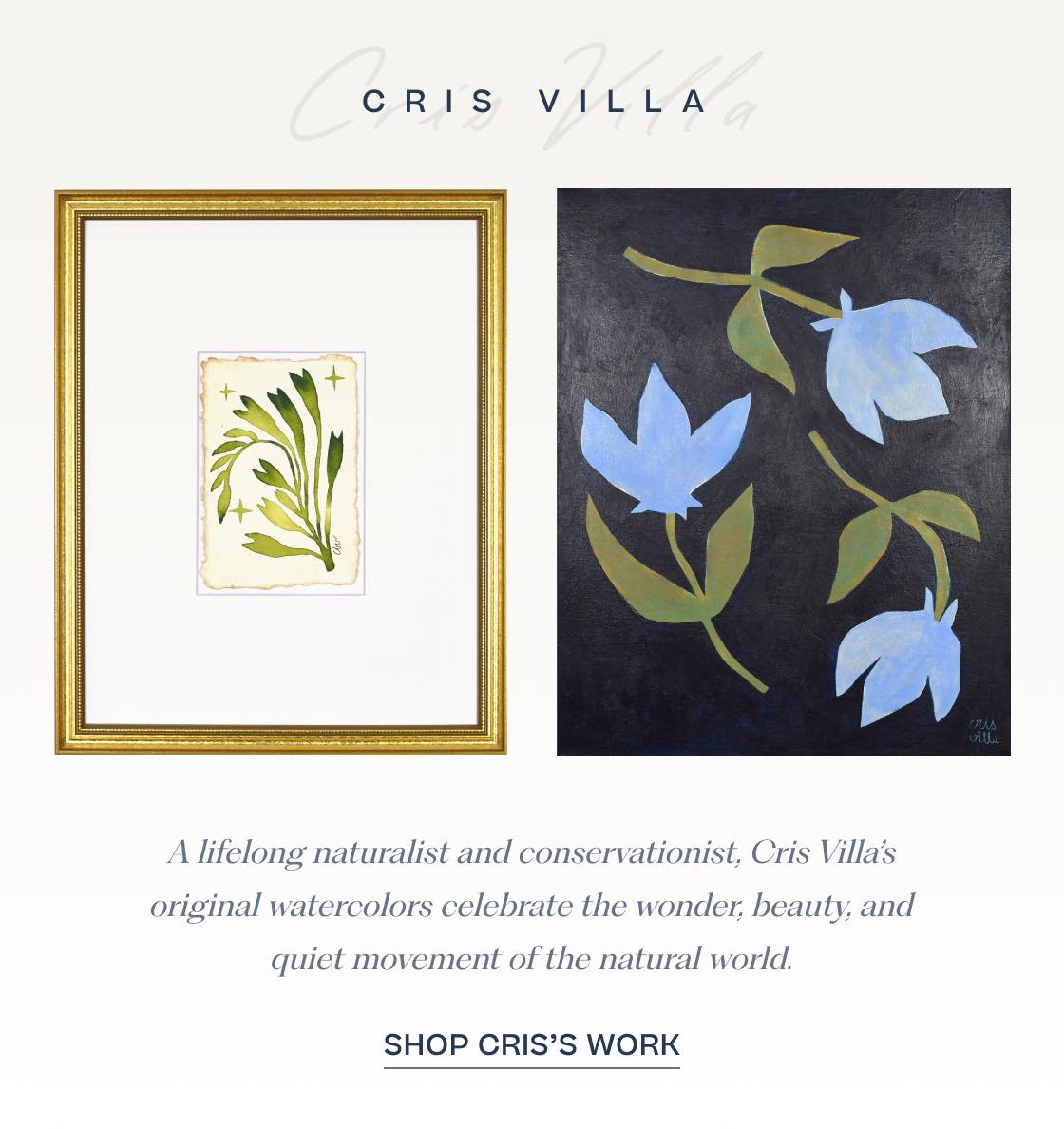 Shop Cris's Work