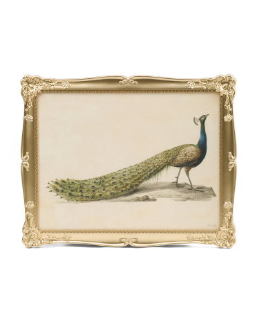 16x20 Peacock Wall Art | Metal